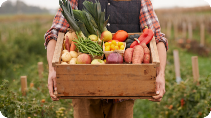 Standing in the middle of long rows of pants, a person holds a wooden crate full of a variety of fruits and vegetables. The person is wearing brown work pants, a red plaid shirt, and a black vest.